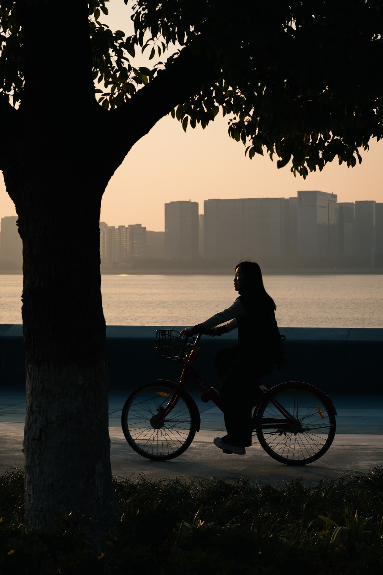 Lakeside Rider
